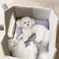 LumiSnug™ Dog & Cat House Bed